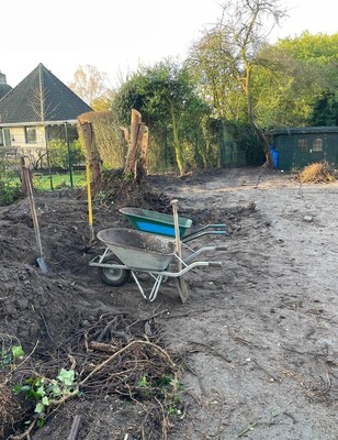 8738e608-a0e2-407e-8973-6412a8b7cb25